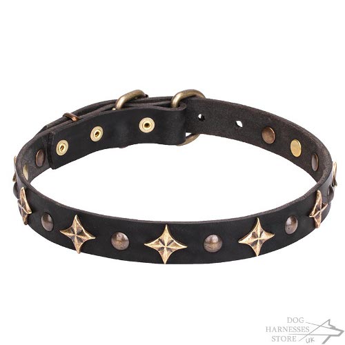 Dog Collar with Stars UK