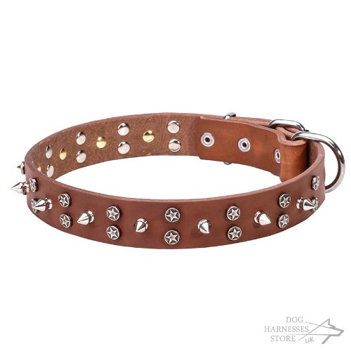 Leather Dog Collar UK, Spikes and Stars