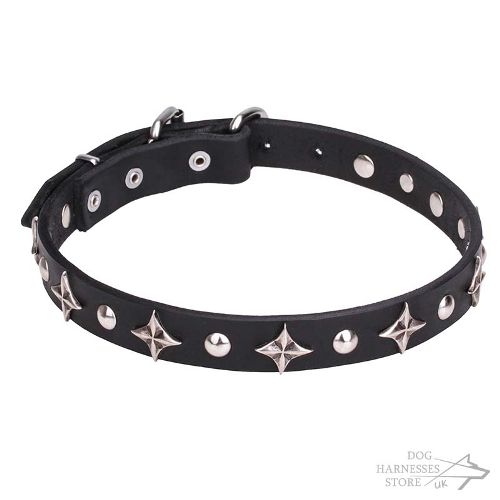 Leather Dog Collar UK, Stars