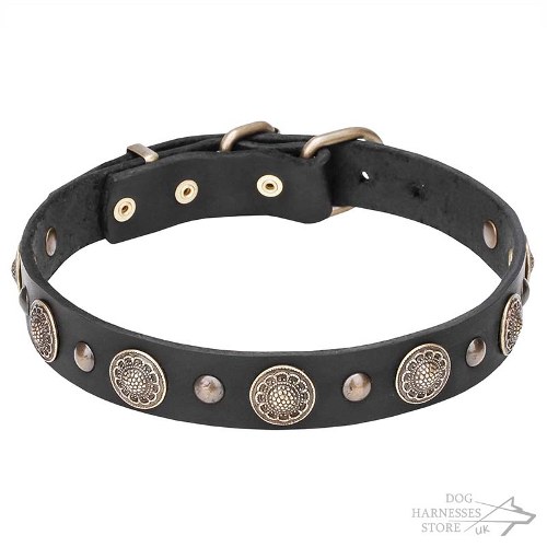 Leather Dog Collar, Decorative