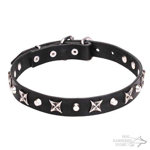 Leather Dog Collar UK, Stars