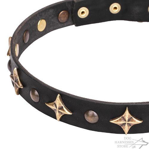 Star Dog Collars UK