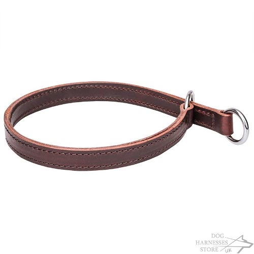 Leather Slip Collar for Dogs