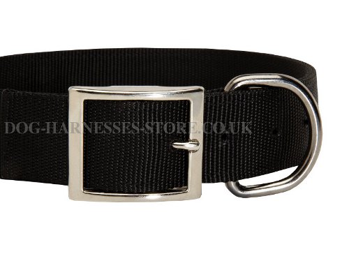 Nylon Dog Collar with Buckle UK