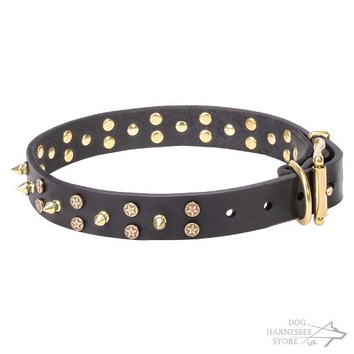 Spiked Leather Dog Collar with Brass Stars