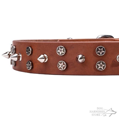 Spiked Leather Dog Collar with Stars