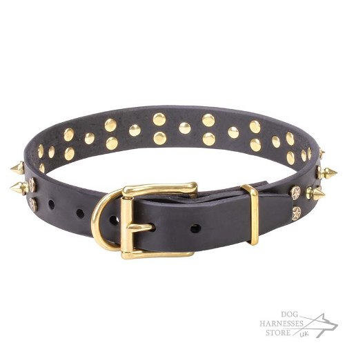Star Studded Dog Collar with Brass Spikes