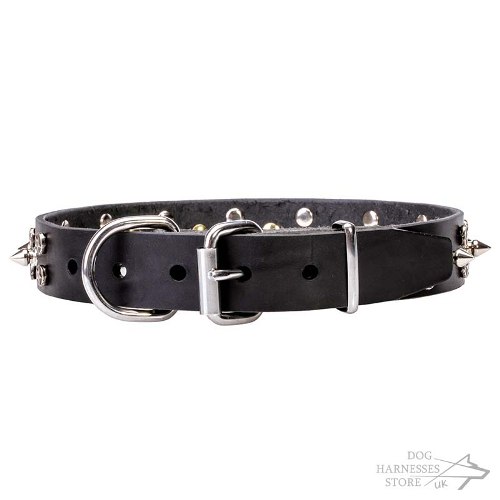 Star Studded Dog Collar with Spikes