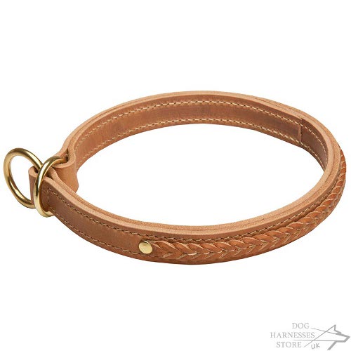 Leather Slip Collar for Dog