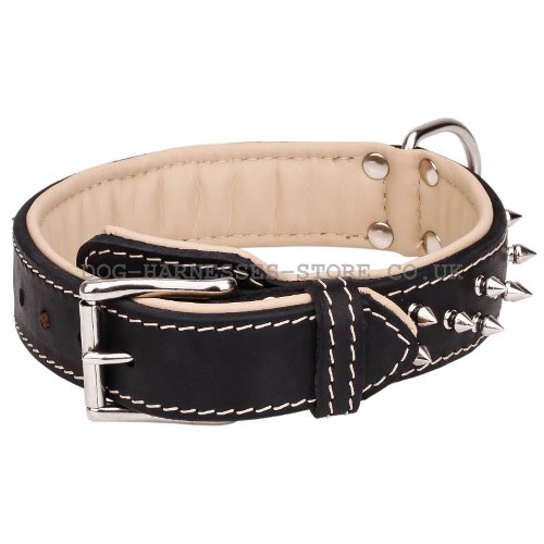 Two Ply Leather Dog Collar