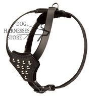 Studded Dog Harness for Small Dog & Puppy