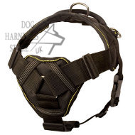Nylon Dog Harness with Handle