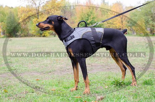 Dog Mobility Harness