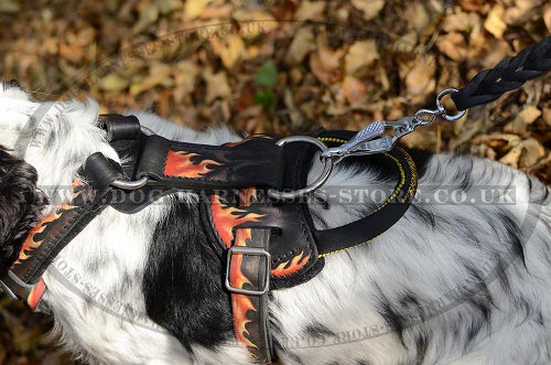 Cocker Spaniel Dog Harness UK with Flames