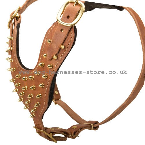 Leather Dog Harness with Brass Spikes