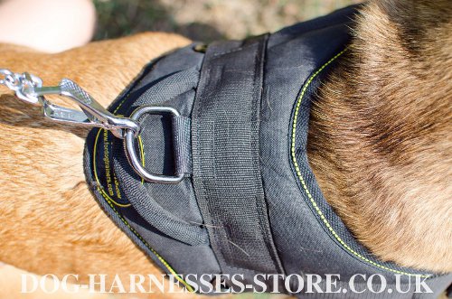 Harness for Dogo Canario UK