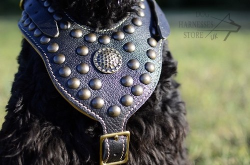 Giant Russian Terrier Dog Harness