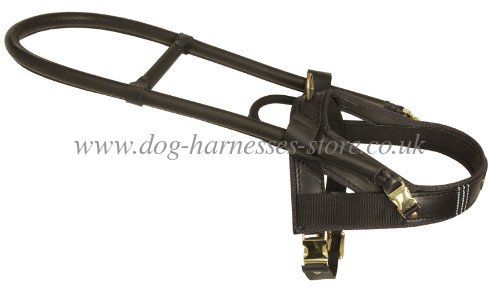 leather dog harness for guide dog