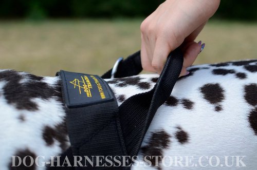 Nylon Dog Harness for Dalmatian UK