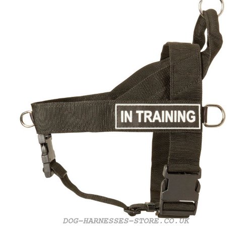 Working Dog Harness UK