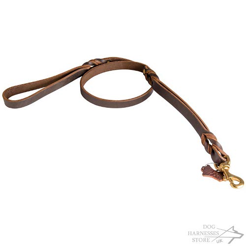 Dog Leash with Two Handles