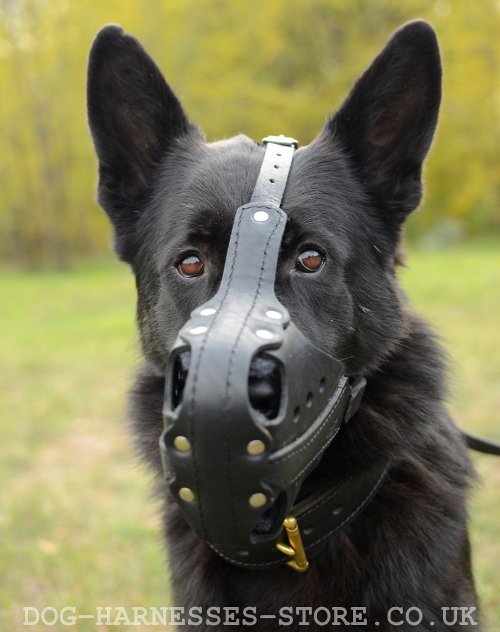 Police Dog Muzzle Training UK