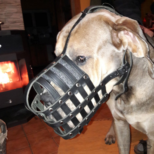 Large Dog Leather Muzzle