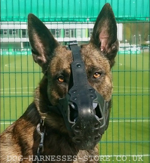 Herder Dog Muzzles UK