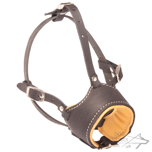 Durable Muzzle for Dogs