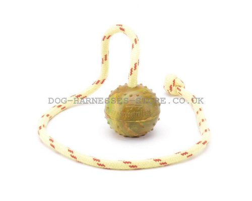 Dog Training Ball on String
