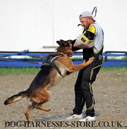 Bite Sleeve for Dog Training UK