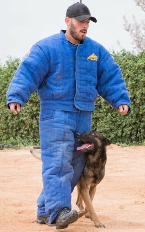Dog Training Handler Jacket