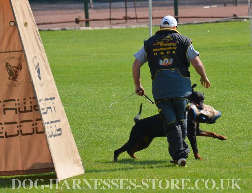 Dog
Training Suit for Fast Track