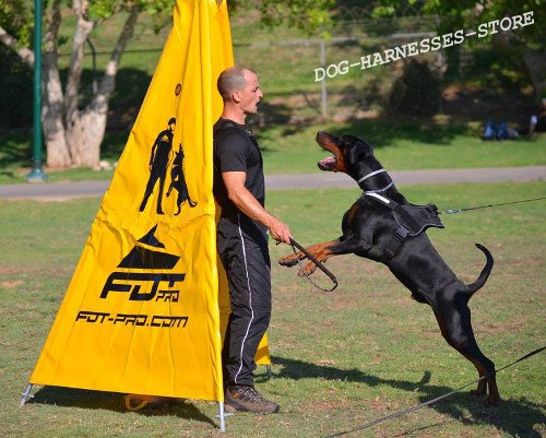 IGP Blind for Protection Dog Training