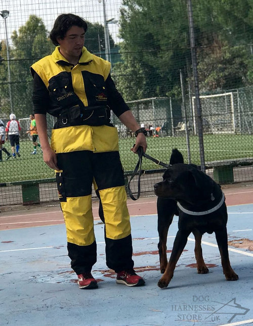 IGP Dog Training Suit UK