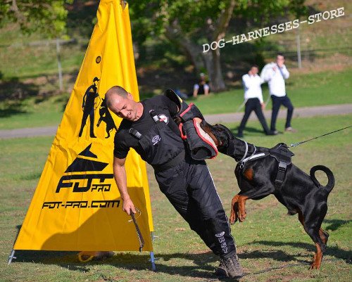 Schutzhund Training Doberman Bite Sleeve
