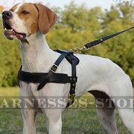 English Pointer Harness Leather Light-Weighted for Tracking
