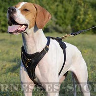 Bestseller! Pointer Dog Harness Leather for Tracking, Training