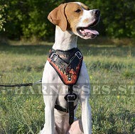 English Pointer Harness, Flame Style Fabulous Leather, Handmade