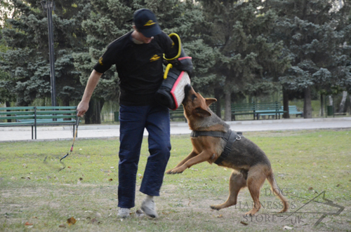 GSD and Handler