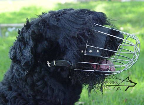 Black Terrier wire basket dog muzzle