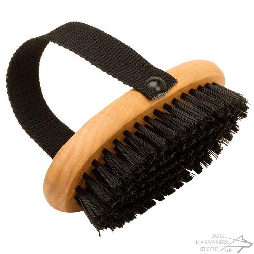 Dog Grooming Brush with Handle for Short-Haired Canines