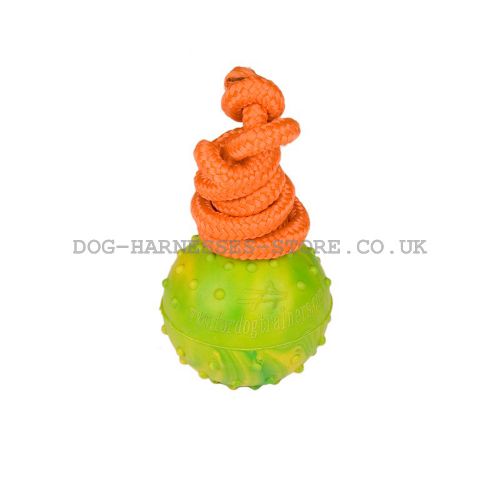 Dog Training Ball of Solid Rubber on Nylon Rope, 5 cm