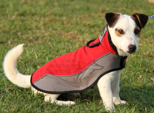 Dog Waterproof Coat for Jack Russel Terrier