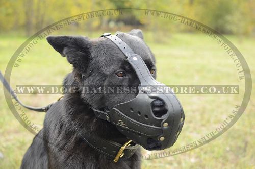 German Shepherd Muzzle of Thick Leather for Work and Training