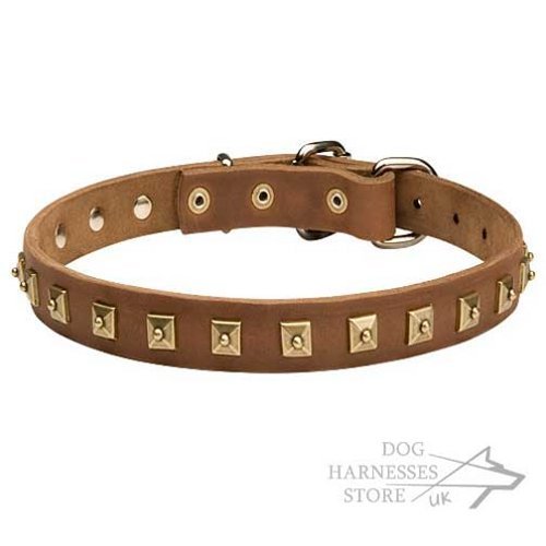 Leather Dog Collar with Square Brass Studs UK, Elegant Design