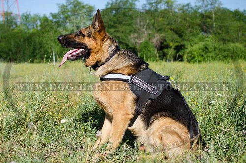 Reflective Dog Harness of Nylon with Patches for German Shepherd