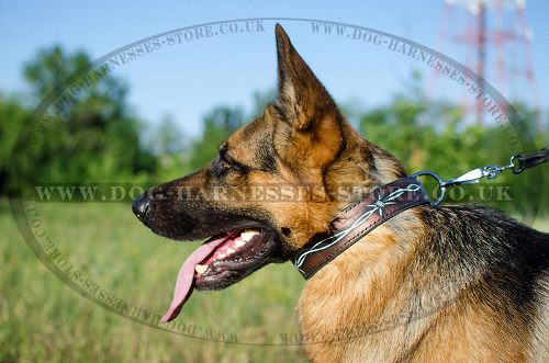 Unique Dog Collar "Barbed Wire" Painting for German Shepherd