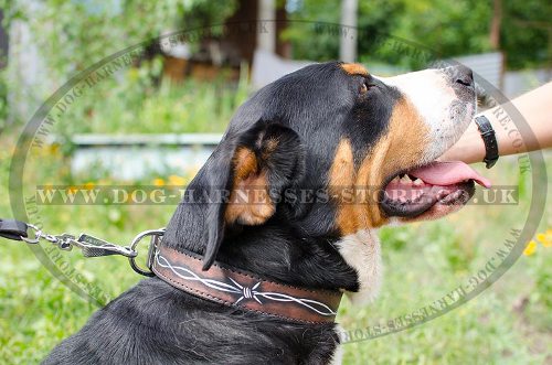 Unique Dog Collar "Barbed Wire" Ornament for Swiss Mountain Dog