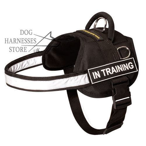Nylon Dog Harness for Multi-Purpose Use, Reflective Strength
